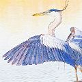 Heron w. Sketch Effect (18X24 mat 12X18 print) JAH-14-139